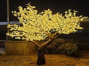 LED 단풍 나무